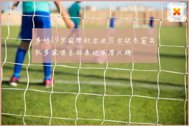 多特19岁前锋科尔坎贝尔欲冬窗离队多家俱乐部表达浓厚兴趣