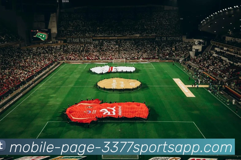 3377体育平台生态图